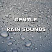Rain Sounds ACE 