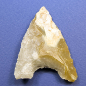 Avatar de cromagnon27