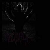 Hetaera