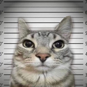 Avatar for Uncannyg3nre