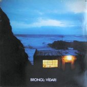 Víðari