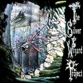 The Silver Wizard Project