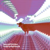 bdtrpflshbck