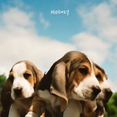 Puppies
