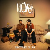 Faded (Special Version)