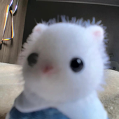 Avatar for MattGhii