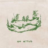 Dead Nettles