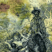 Little Black Horse Where Are You Going With Your Dead Rider?