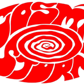 Cosmic Storm