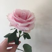 Tumblr_l_274621137328561.jpg