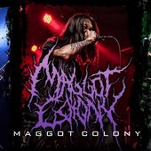 Maggot Colony