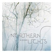 Northern Lights
