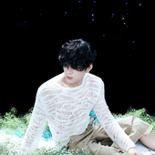 Weibo Festival 08112025