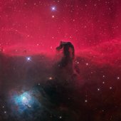 HorseHead.jpg