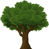 Avatar for MadeWithTrees