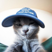 Avatar di Toyoder