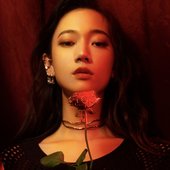 julia wu 