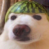 MaFFioZZo_ 的头像