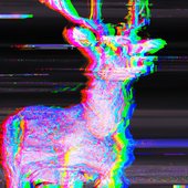 angeldoe
