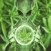 alien maconha fds