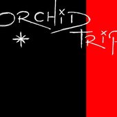 Orchid Trip