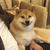 notsadnasta 的头像