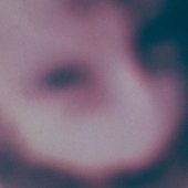 IMG_1223.jpeg