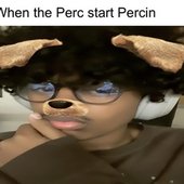 perc