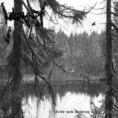 Feeble souls wandering through the woods