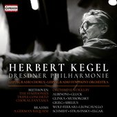 Beethoven, Brahms & Others: Orchestral Works