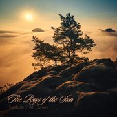 Nature / At Dawn