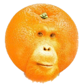 Avatar for umabon