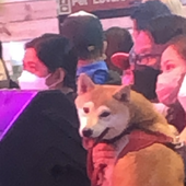 markkevinang 的头像