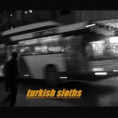 turkish sloths4