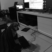 Screenshot_8.png
