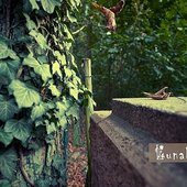 Lunalilith - Postcard