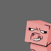 Minecraft Everyday