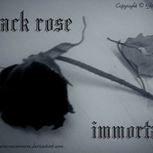 Avatar for InCaudaVenenum
