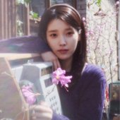 꽃갈피 셋
