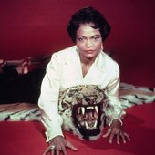earthakitt1