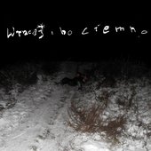 już wiem, co będziemy dzisiaj robić