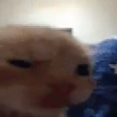soybeanu 的头像