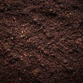ActuallyDirt 的头像