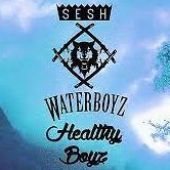 hollowsesh 的头像