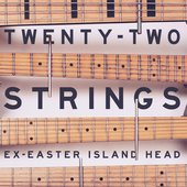 Twenty-Two Strings