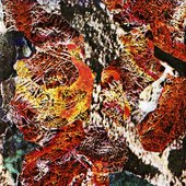 Magnetic Phenomena of All Kinds