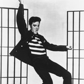 Elvis 