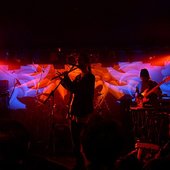 Ozric_Tentacles_live_in_Zagreb_in_2004.jpg