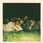 Tagetes Polaroid