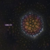 Nadir